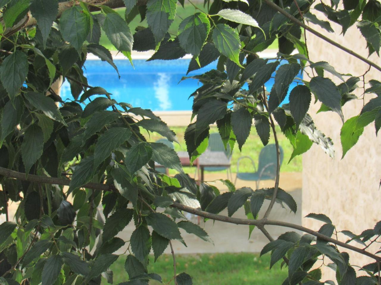 Stara Kuca Estate Villa Ljubuski Bagian luar foto